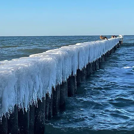 Appartementhaus 2 - Urlaub Zwischen & Bodden Zingst