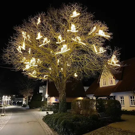 Lejlighed Appartementhaus 2 - Urlaub Zwischen & Bodden
