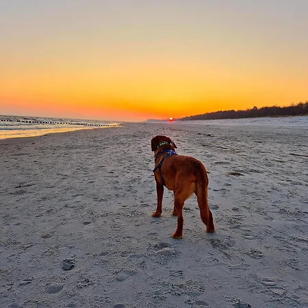 Appartementhaus 2 - Urlaub Zwischen & Bodden Lejlighed